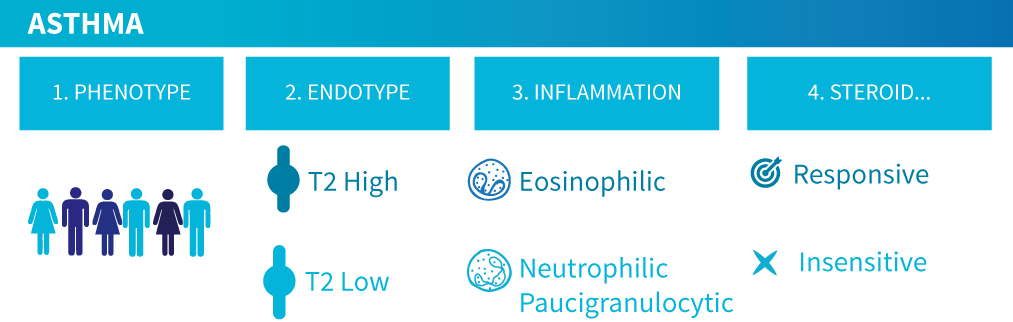 Airway nflammation characteristics shceme